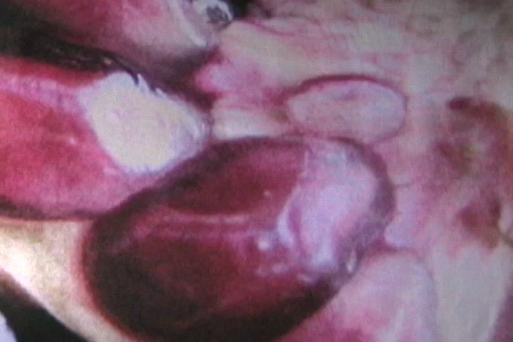 xenia_web-desktop-2-2